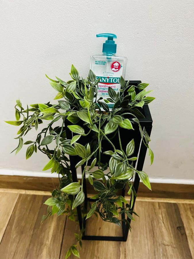 Апартаменти Altheda Living Tineretului E8 Сучава Екстер'єр фото